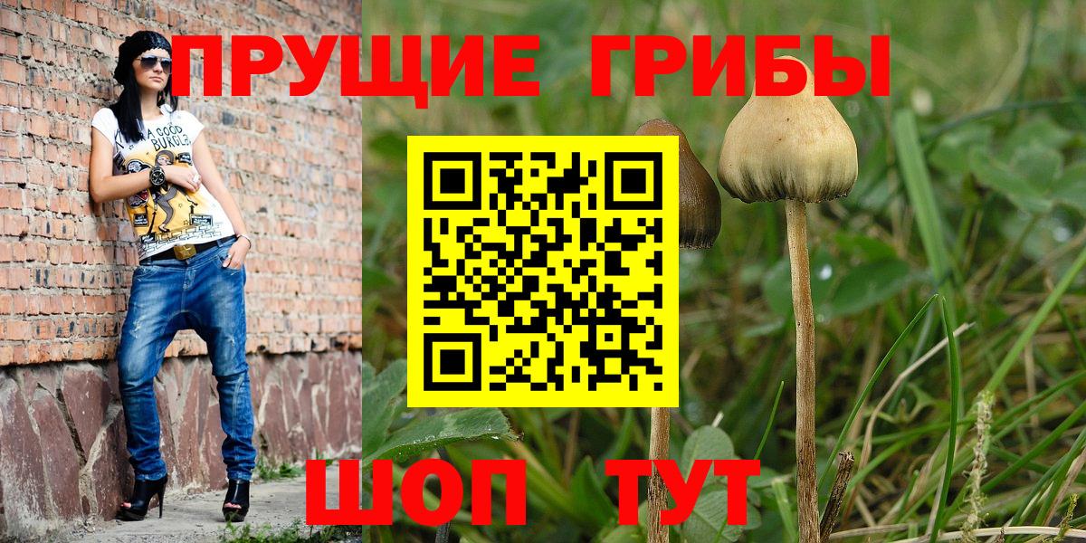 Псилоцибиновые грибы мухоморы Кизилюрт