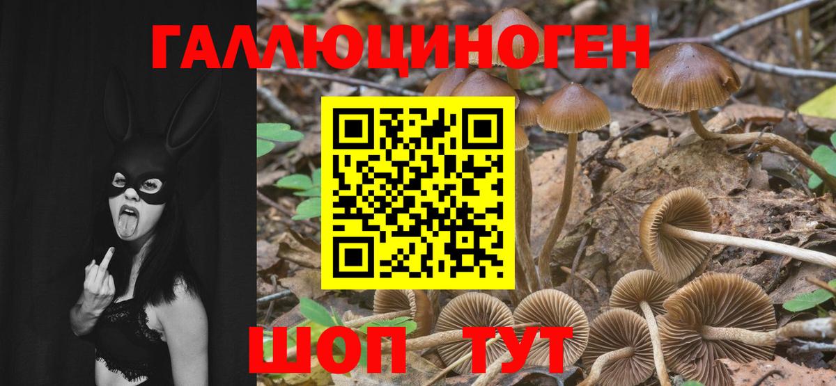 Псилоцибиновые грибы Psilocybe  Вход с VPN  Кизилюрт  Галлюциногенные грибы Cubensis 